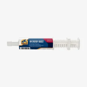 An Energy Boost 60g